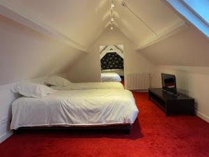 金洛伊B&B Het Doctershoes的阁楼卧室配有两张床和电视。