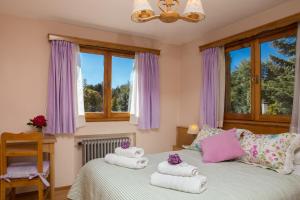圣卡洛斯-德巴里洛切哈斯提莉亚凯蒂酒店的一间卧室配有带毛巾和窗户的床