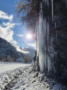 乌弗奈特弗斯Auberge du Bachelard的冰覆盖在雪覆盖道路旁的树