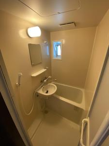 AmakusaGrand Heights - Vacation STAY 17555v的一间带水槽和镜子的小浴室
