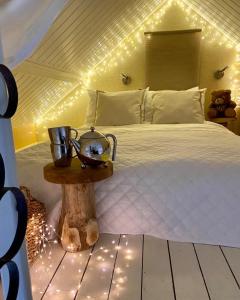 阿尔克马尔Casa De Palmas - Tiny house的一间卧室配有一张灯光床