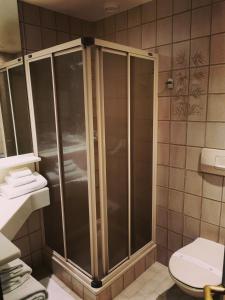 拉绍德封弗乐德里斯酒店 的带淋浴和卫生间的浴室