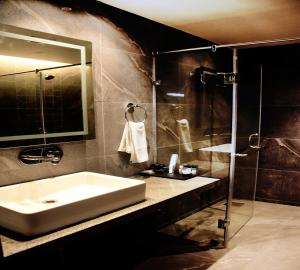 TezpurHotel Palazzo Prime的浴室配有白色水槽和淋浴。