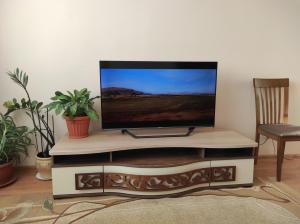纳尔瓦NarvaCenter的客厅的台面上配有平面电视