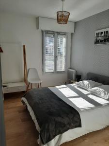 诺让莱罗特鲁CHARMANT APPARTEMENT CENTRE VILLE LE RONSARD的一间卧室设有一张大床和一个窗户。