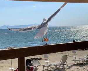 福洛尼卡Golfo del Sole Holiday Resort的相册照片