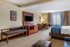 伯尼德克萨斯州山坡乡村康福特茵套房酒店的配有一张床和一张书桌的酒店客房