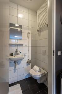 乌得勒支乌特勒支城市公寓 - 维尔德辛格的一间带卫生间和水槽的浴室