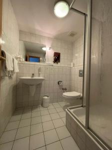 布兰肯堡Landgasthaus Zander的一间带水槽、卫生间和淋浴的浴室