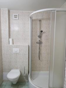 莫德拉Penzión Harmónia的带淋浴和卫生间的浴室