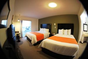 萨尔蒂约努沃酒店的酒店客房设有两张床和电视。