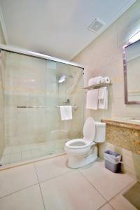 棕榈滩Pearl Aruba Condos的一间带卫生间和玻璃淋浴间的浴室