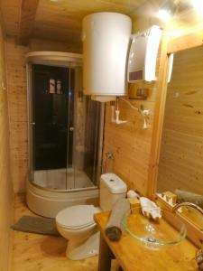 FăgeţelNexus B2的浴室配有卫生间、淋浴和盥洗盆。