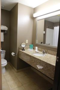 West Point地平线套房汽车旅馆的一间带水槽、镜子和卫生间的浴室