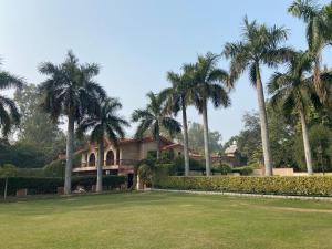 新德里阿肖克乡村度假酒店的庭院前有棕榈树的房子