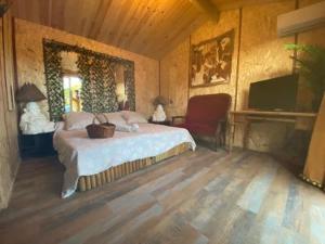 皮亚诺托利-卡尔达雷洛Chalet Valle di Corti的一间卧室配有一张床和一台电视。