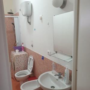 卡坦扎罗Suite La Rosa Dei Venti的一间带卫生间、水槽和镜子的浴室