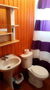 科伊艾科Apart Hotel Arrayán的一间带卫生间和水槽的浴室