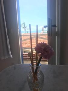 纳塔尔美利加多索旅馆的花瓶,花朵紫色,坐在桌子上