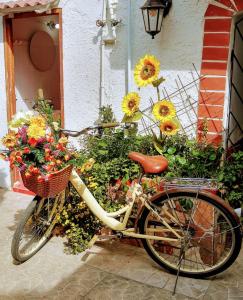 里奥阿查Hostal Solsticio Guajiro的一辆自行车,装满鲜花篮子