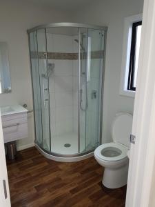 弗朗兹约瑟夫Stony Creek, 3 bedroom home, Franz Josef的一间带玻璃淋浴和卫生间的浴室
