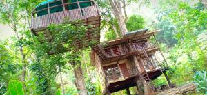 蒙纳Jungle Jive Tree House Munnar的森林中的一个树屋