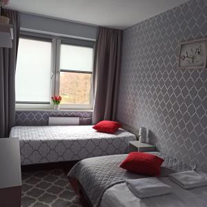 奥尔什丁Apartament Familijny的一间卧室设有两张床和窗户。