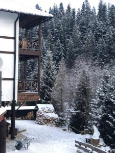 米库利钦Готель RIVER HILL的雪地和树木的滑雪小屋