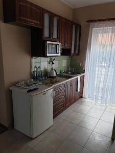 库瑞尼卡慕斯卡Apartamenty Donald的厨房配有水槽和微波炉