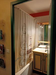 韦尔东的圣克鲁瓦Les Haut Du Lac的一间带浴帘和雕像的浴室