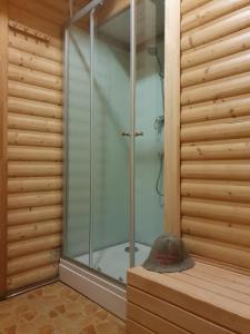 陶格夫匹尔斯艾尔佛戈酒店的浴室里设有玻璃门淋浴
