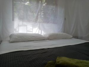 Dos BrazosCasa Bolita的窗户前的一张带两个枕头的床
