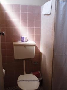 纽卡斯尔梅菲尔德汽车旅馆的一间带卫生间和水槽的小浴室