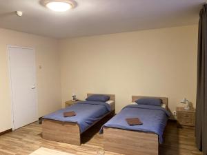 科克尼斯Motelis Astarte的一间卧室配有两张带蓝色枕头的床