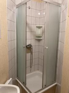 科克尼斯Motelis Astarte的浴室里设有玻璃门淋浴