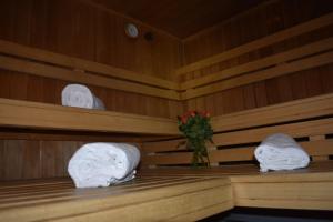 达沃斯达沃斯班达酒店的一间桑拿浴室,配有两条毛巾和花瓶