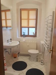 LeisnigKleiner-Muldenblick的一间带水槽和卫生间的浴室以及窗户。
