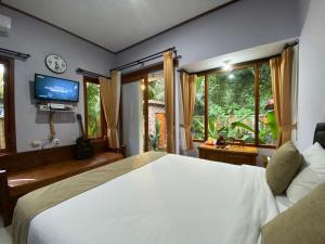 卡朗阿森Villa Melanting的一间带大床和电视的卧室
