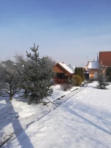 密古雷休治和谐酒店的一座有树木和房子的雪地庭院