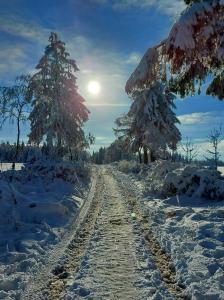 特镇Aux Capucines的一条有树木和太阳的雪覆盖的道路