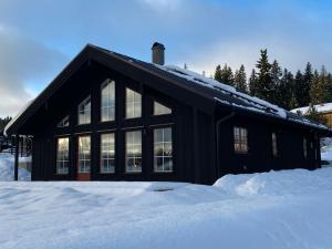耶尔夫瑟Jarvso House. Ski In / Ski Out.的前面有雪的黑房子