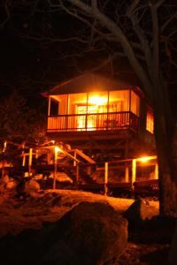 内尔斯普雷特第5季旅馆的树屋在晚上点亮,灯火通明