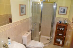 戈梅拉岛圣塞瓦斯蒂安Apartamento en Casco Histórico的带淋浴、卫生间和盥洗盆的浴室
