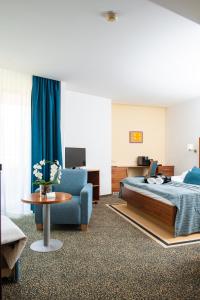 斯玛杰克托莱塞Hotel Vitarium Superior - Terme Krka的一间卧室配有一张床、一张沙发和一张桌子