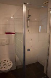 VledderDe Lindehoeve Appartement de Pompestraat的带淋浴和卫生间的浴室