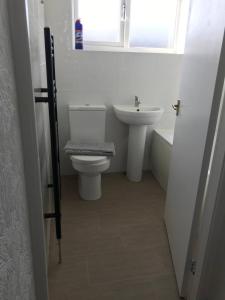考文垂Diana House - Great location的一间带卫生间、水槽和窗户的浴室