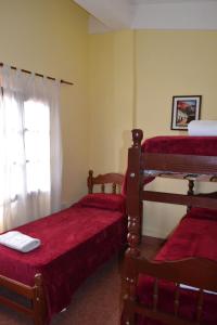 圣萨尔瓦多德朱Posada Rivera的一间卧室设有两张双层床和一扇窗户。