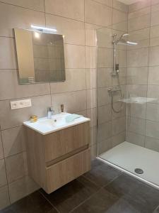 拉罗什-阿登Vakantieappartement Nature-L-ment的浴室配有盥洗盆和带镜子的淋浴