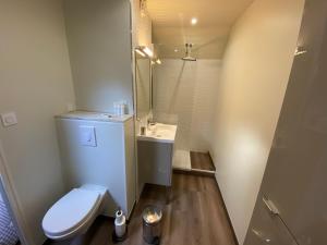 巴涅尔-德吕雄Appartement Duplex的一间带卫生间和水槽的小浴室