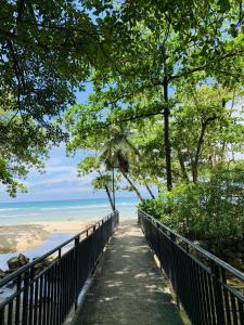 博瓦隆Oceanic View Apartments的通往树木繁茂的海滩的步行道